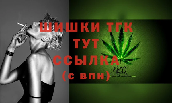 индика Верхнеуральск