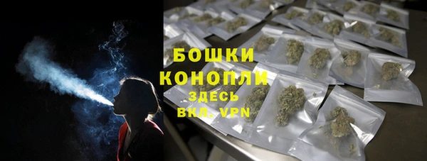 индика Верхнеуральск