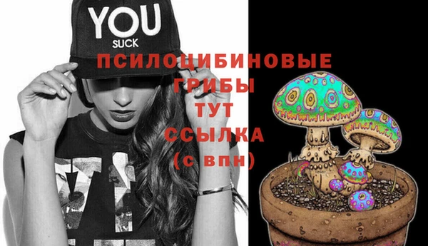 СК Верея