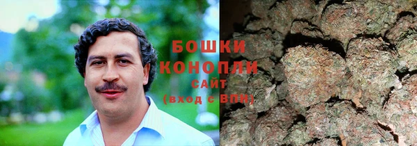 СК Верея