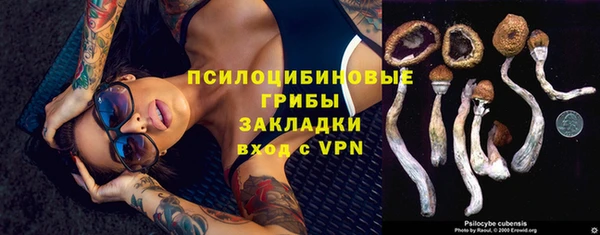 индика Верхнеуральск